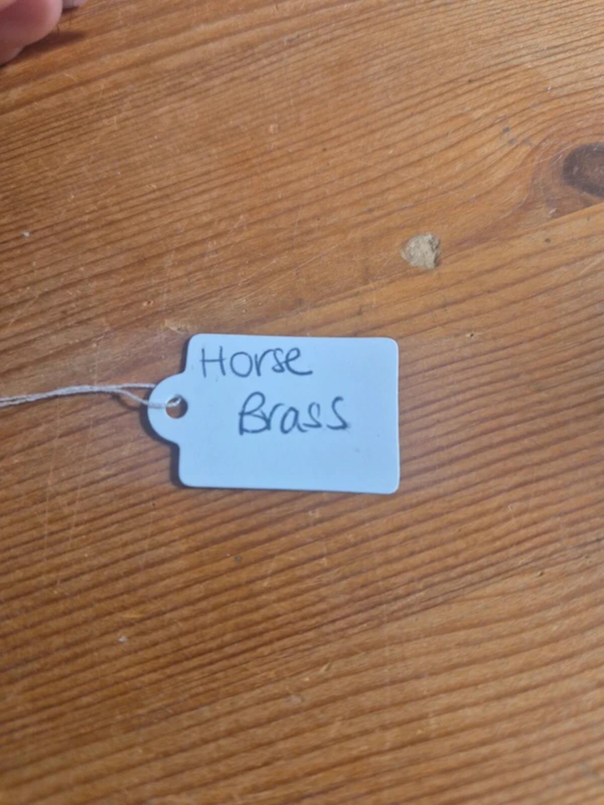 Cat horse brass (1)