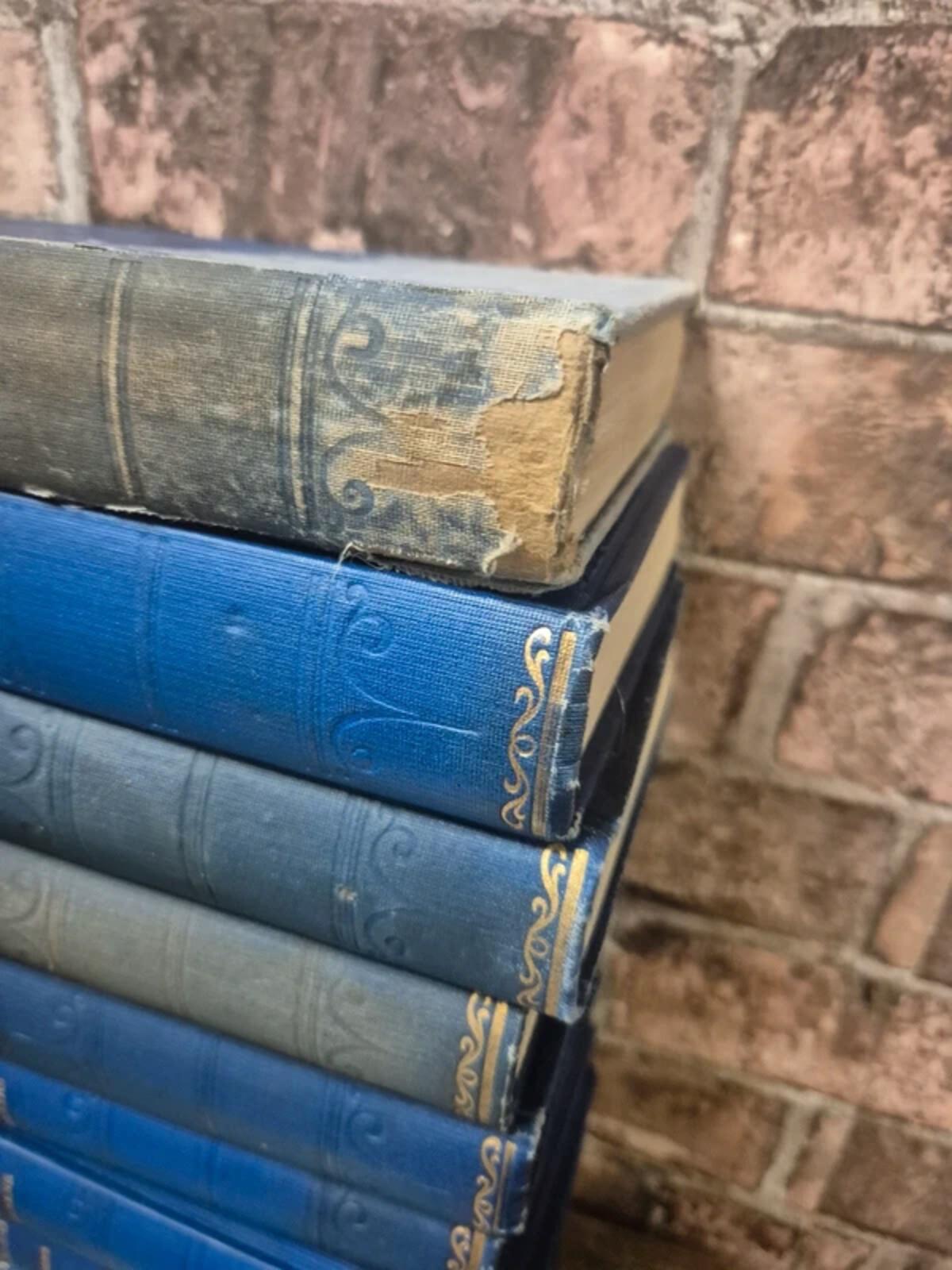 Charles Dickens Book Set