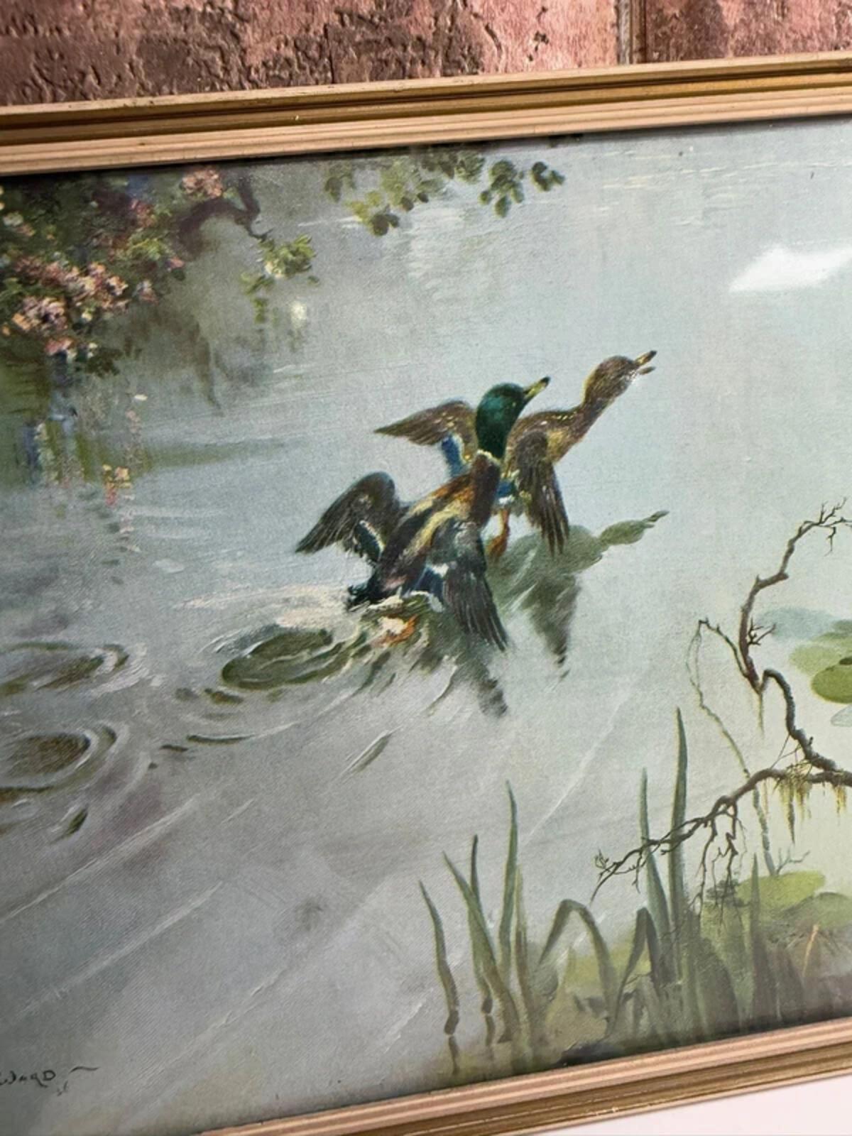 Vernon Ward Golden Screen Framed Picture