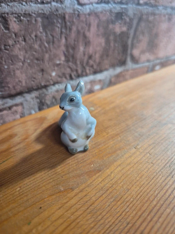 Lomonosov squirrel