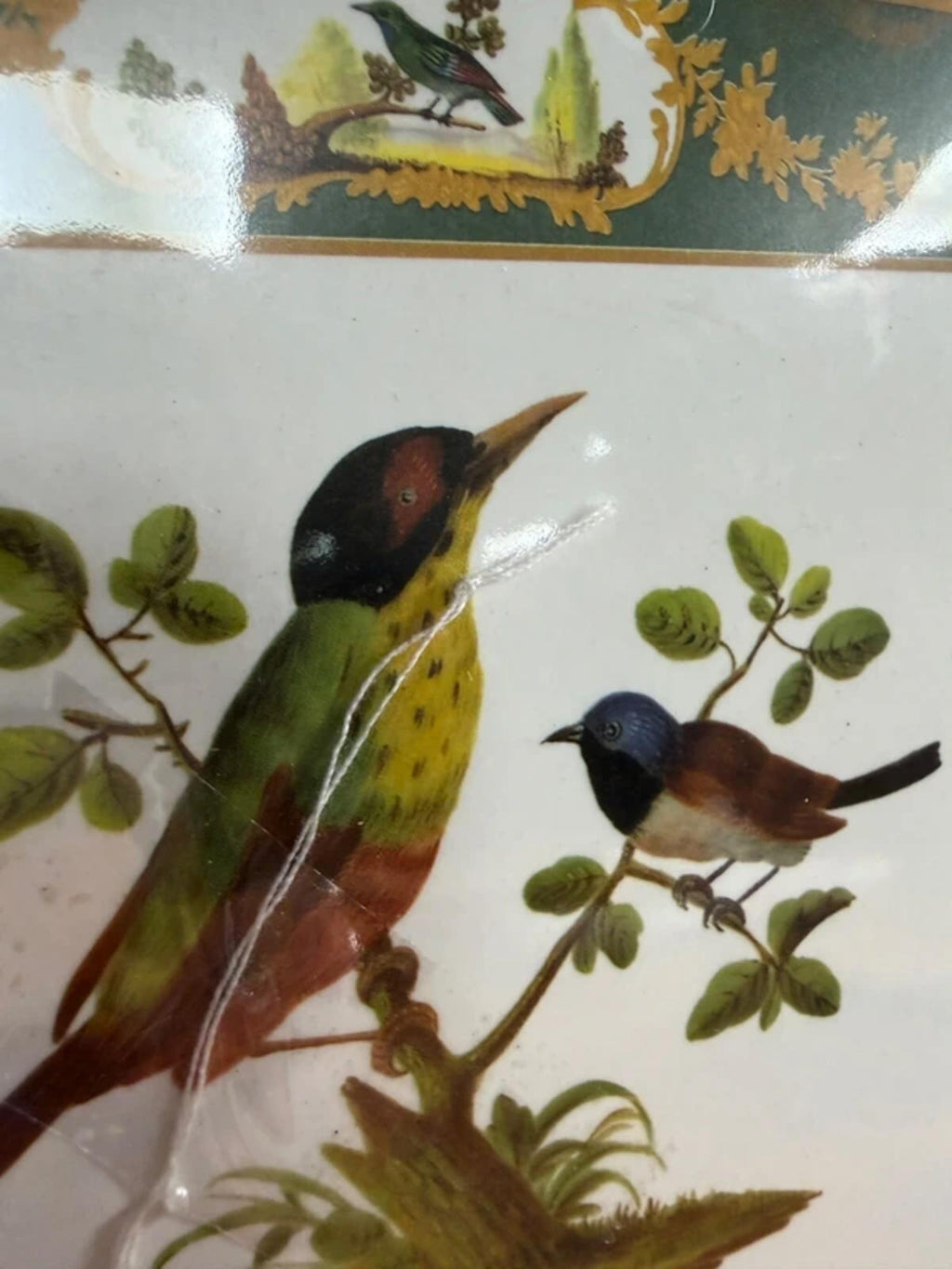 Vintage Bird Table Mats x 6