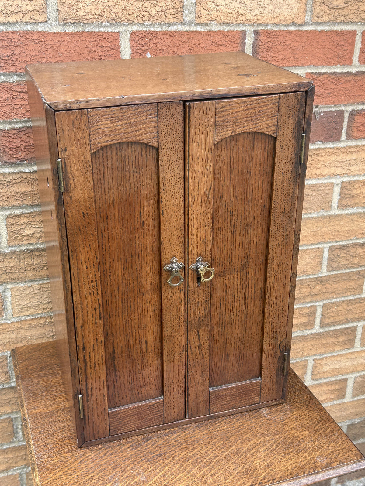 Edwardian Oak Collectors Cabinet