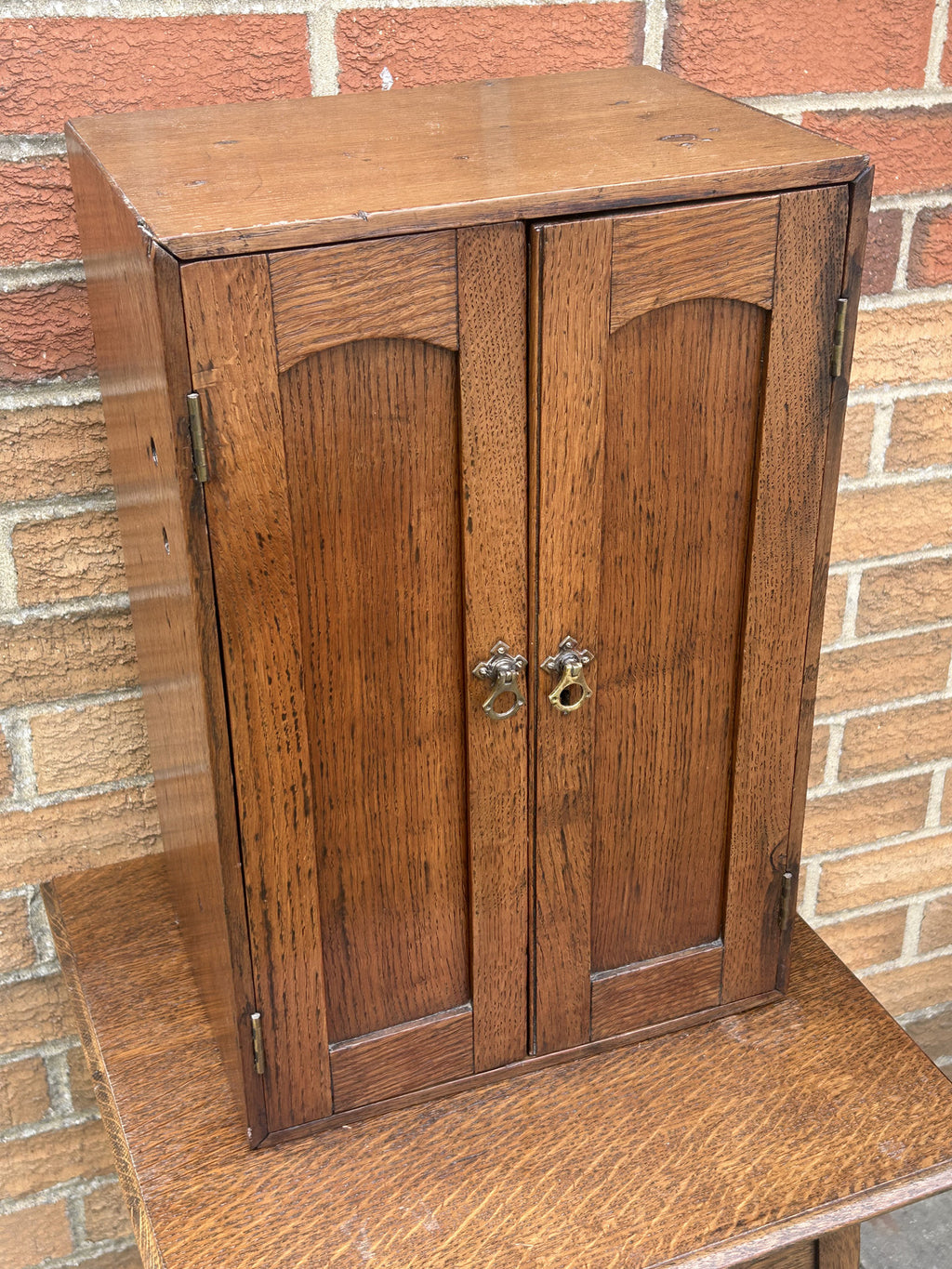 Edwardian Oak Collectors Cabinet