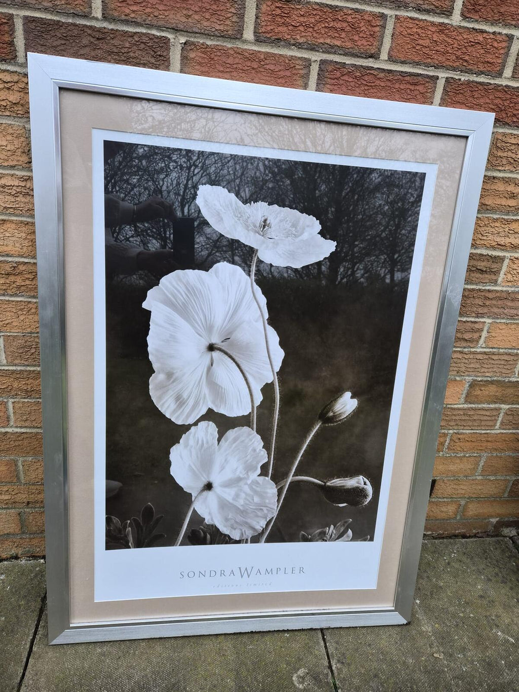 Sandra Wampler "Editions Ltd" Mounted and Framed Print