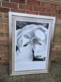 Sandra Wampler "Magnolia No 3" Mounted and Framed Print