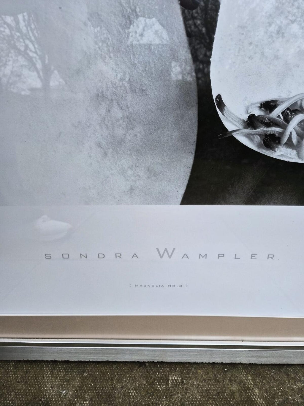Sandra Wampler "Magnolia No 3" Mounted and Framed Print