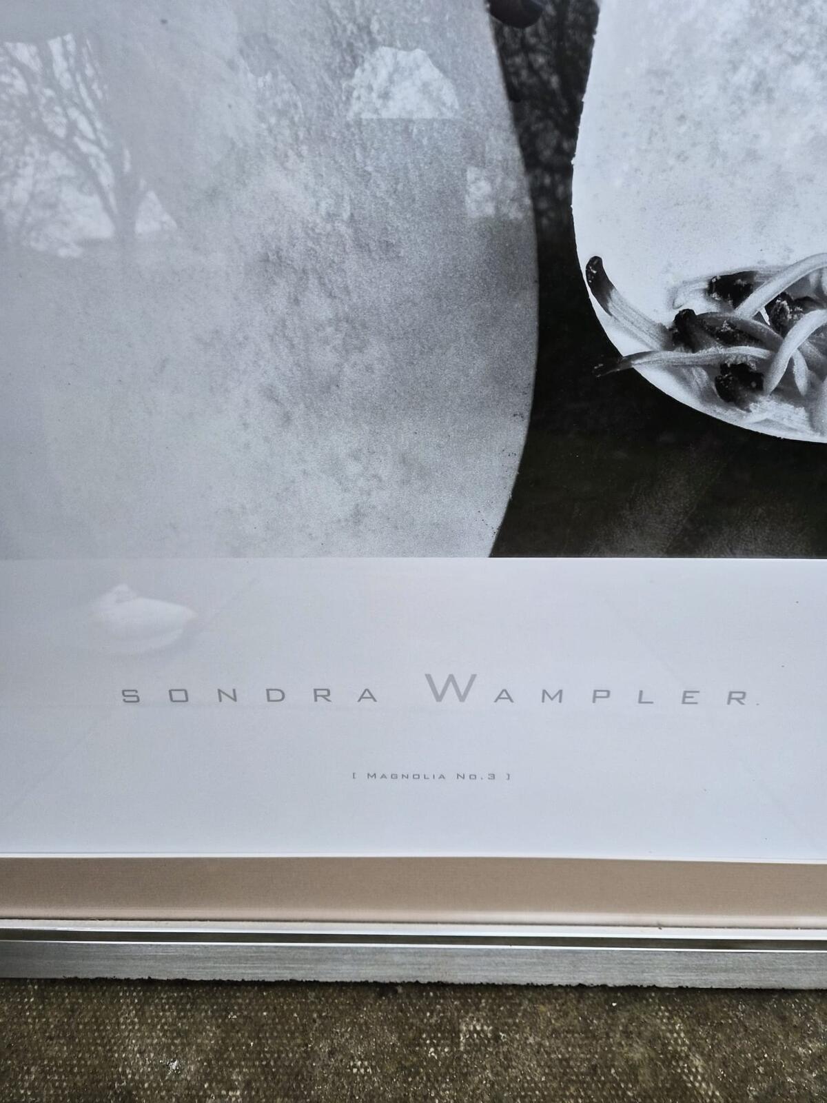 Sandra Wampler "Magnolia No 3" Mounted and Framed Print
