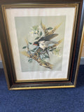 Michael B. Sawdy Swallow Framed and Signed Print