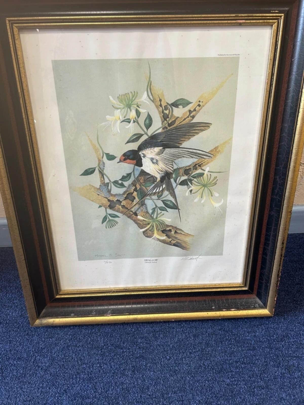 Michael B. Sawdy Swallow Framed and Signed Print