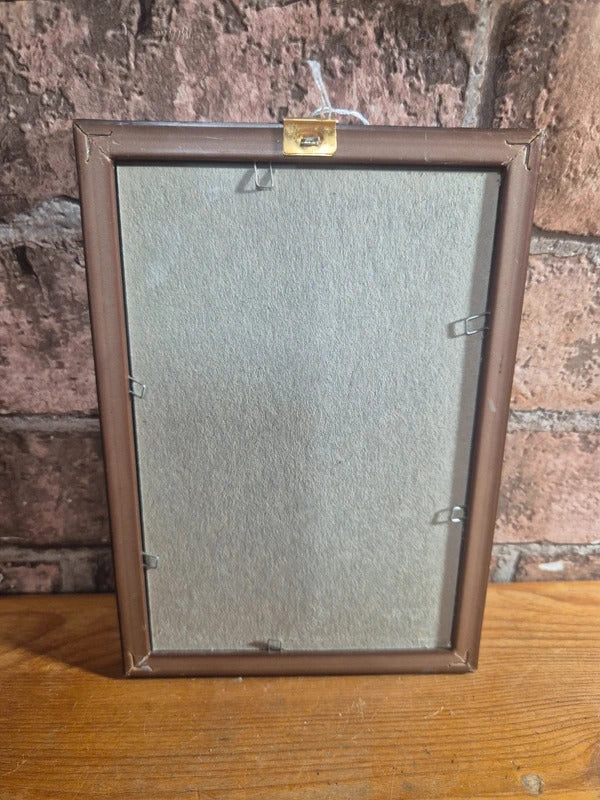 Vintage apple print