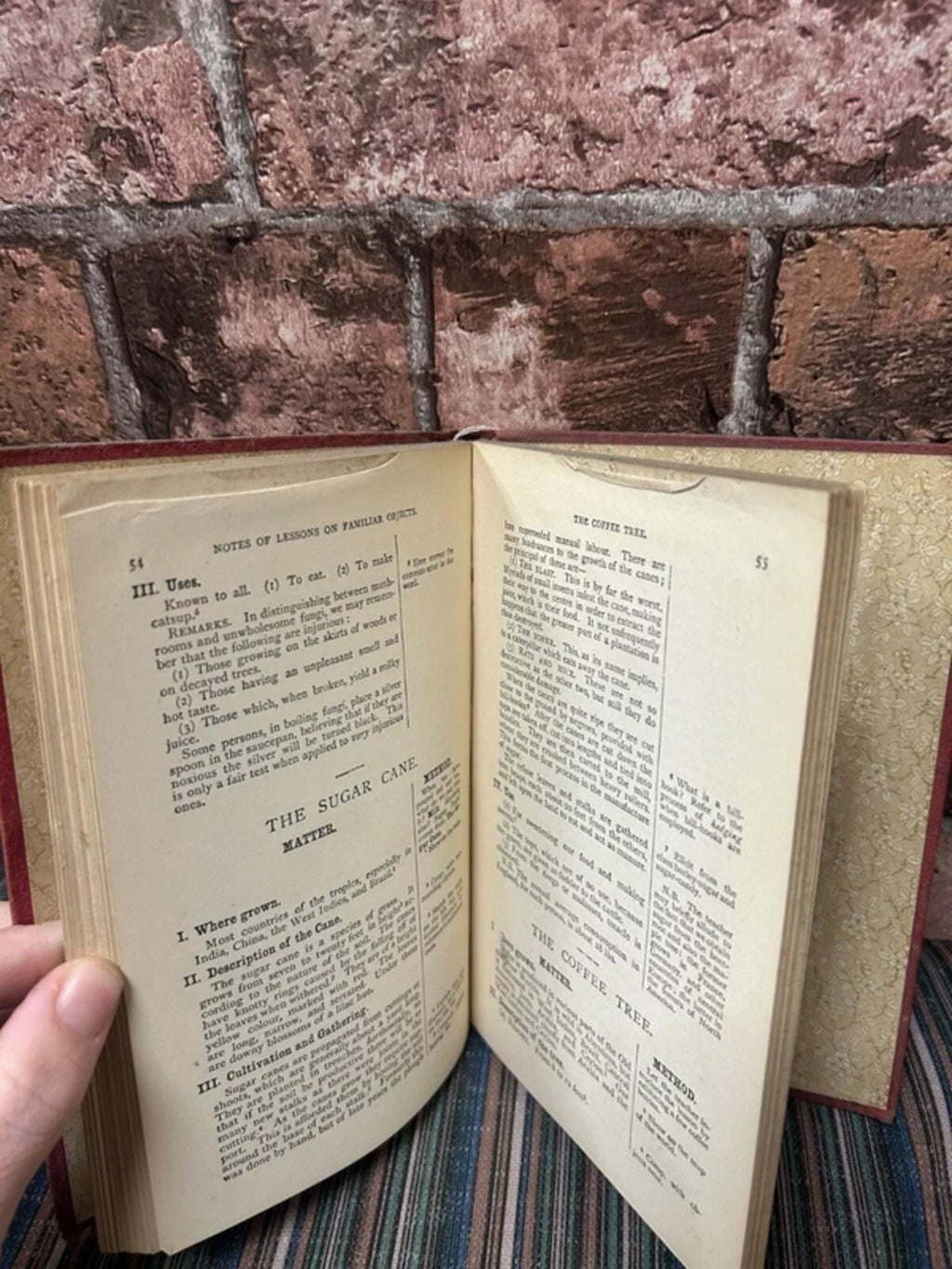 The Handy Book of Object Lessons Antique Book