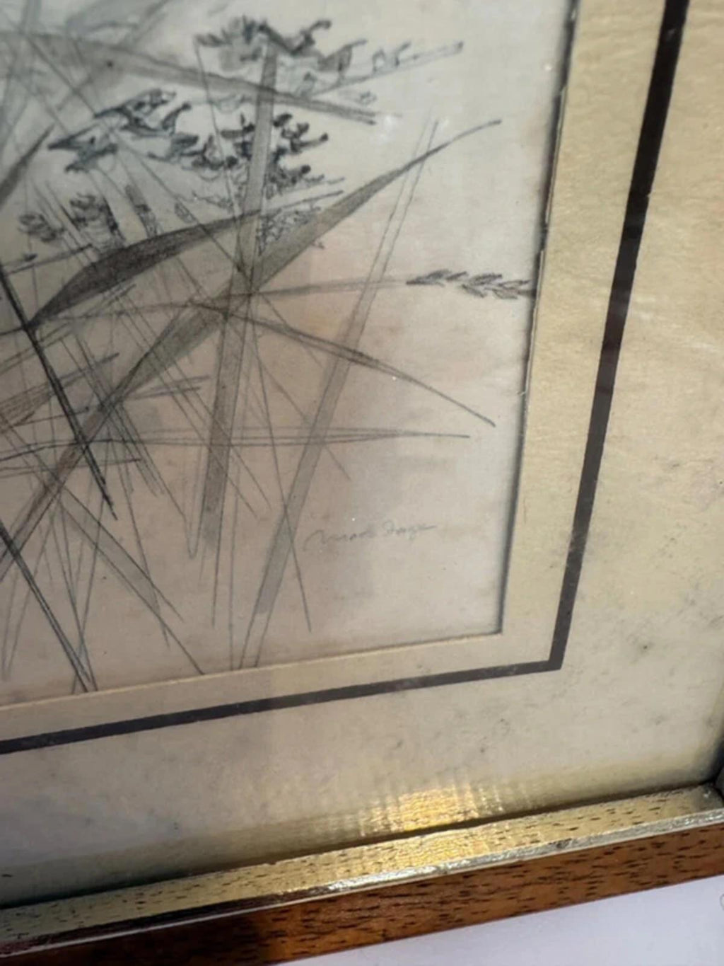 Vintage Mads Stage 1970s Framed Animal Drawing Sketch