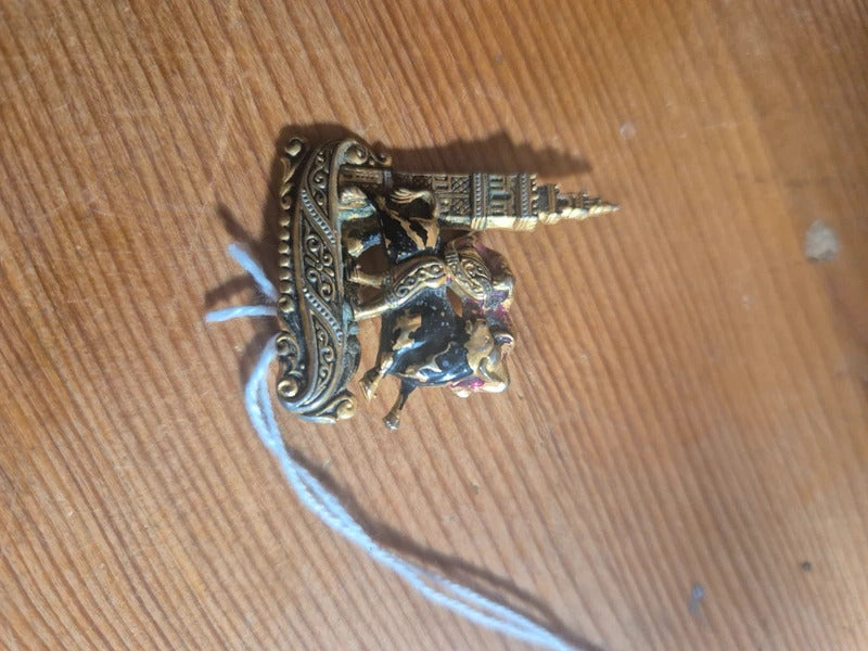 Bull fighter brooch