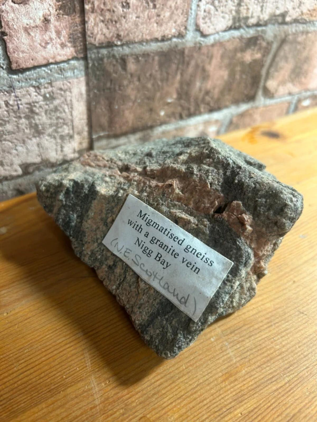 Migmatised Gneiss from Scotland