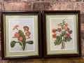 Pair of Vintage Framed P.J. Redoute Floral Prints