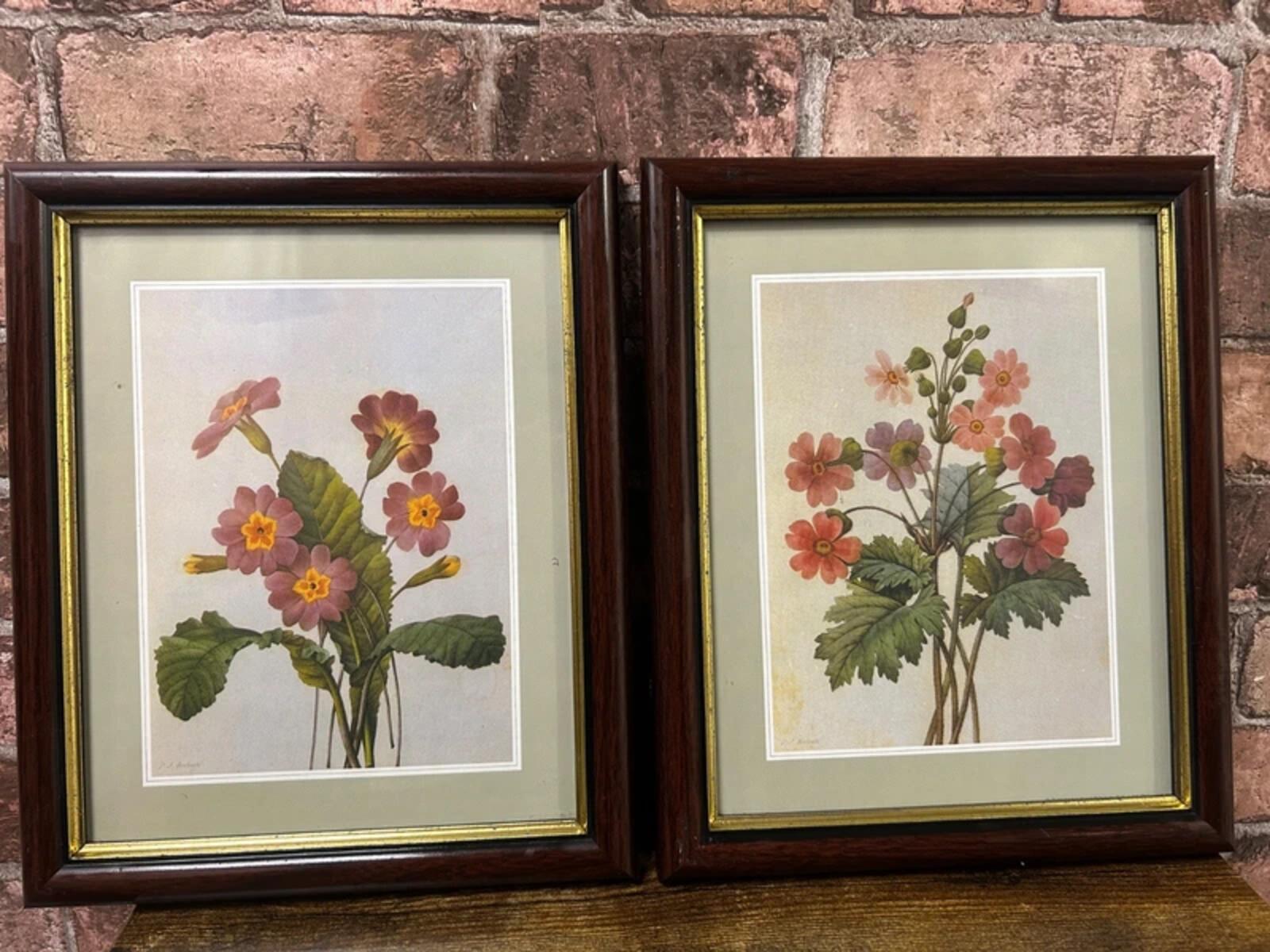 Pair of Vintage Framed P.J. Redoute Floral Prints
