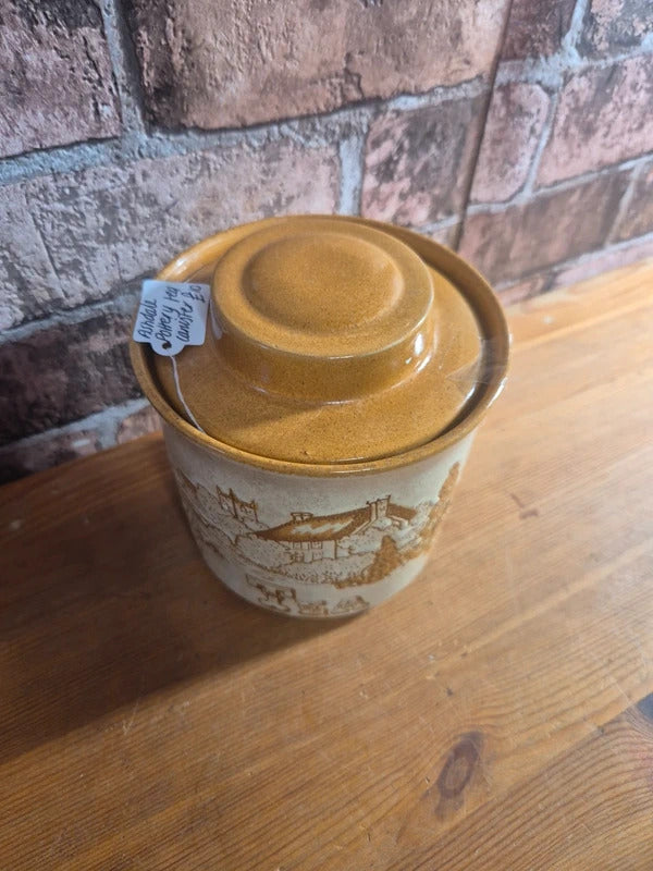 Ashdale pottery tea cannister