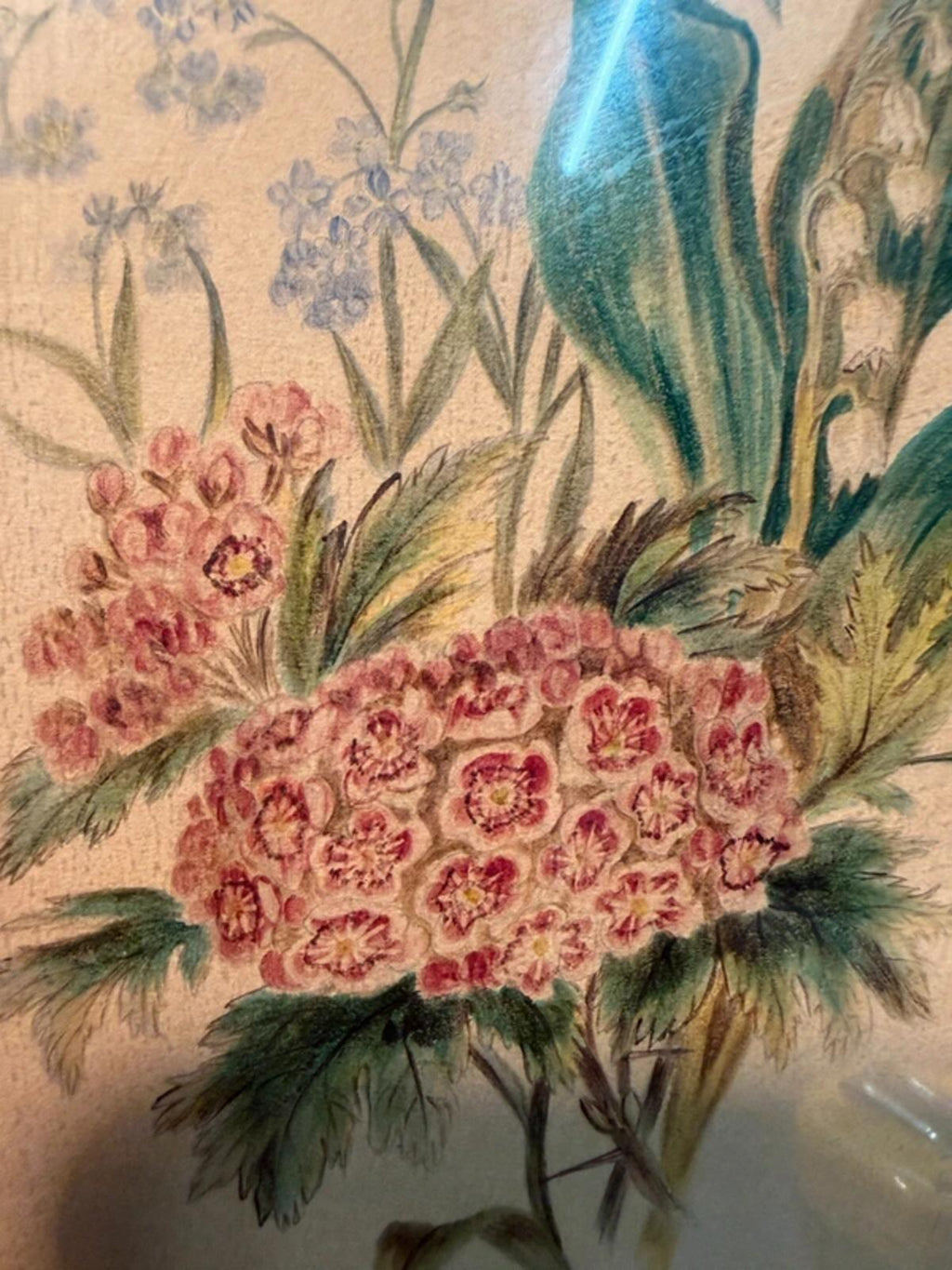 Vintage Framed Floral Drawing