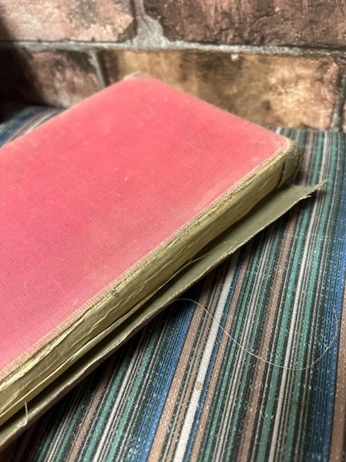 Vintage The Boy Electrician Book