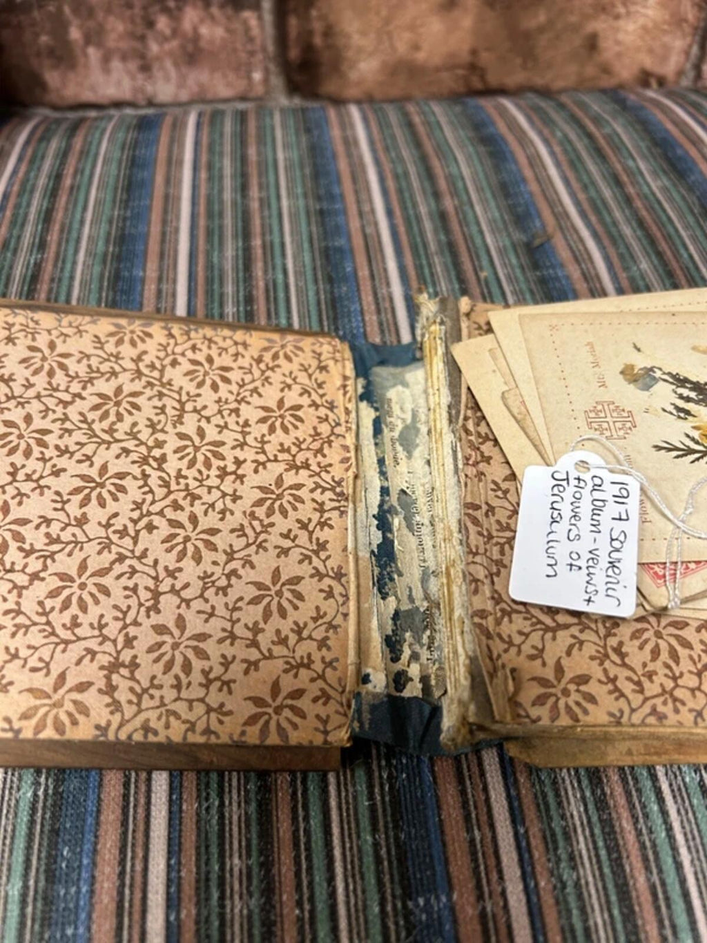 1917 Souvenir Album - Views and Flowers of Jerusalem