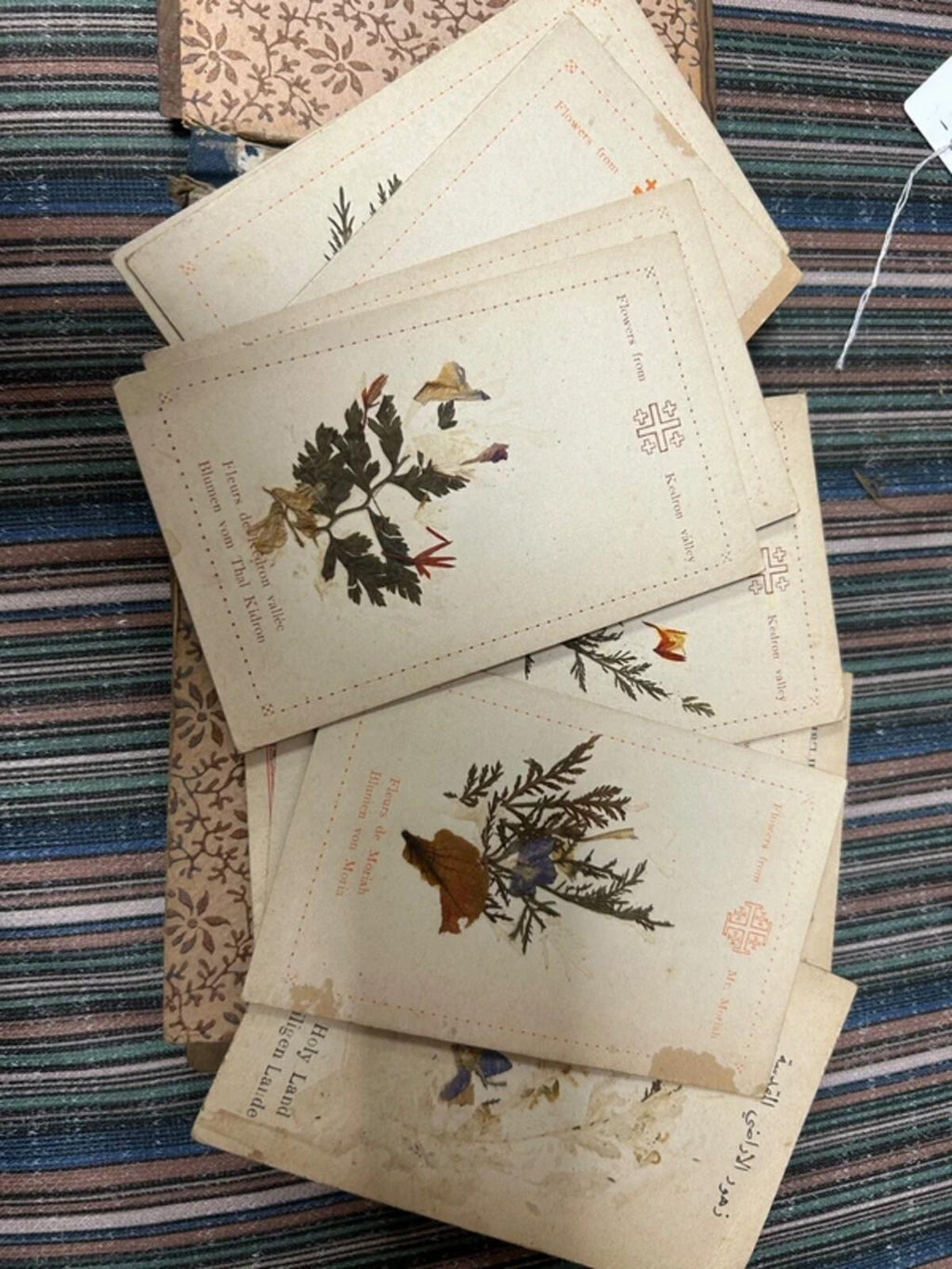 1917 Souvenir Album - Views and Flowers of Jerusalem