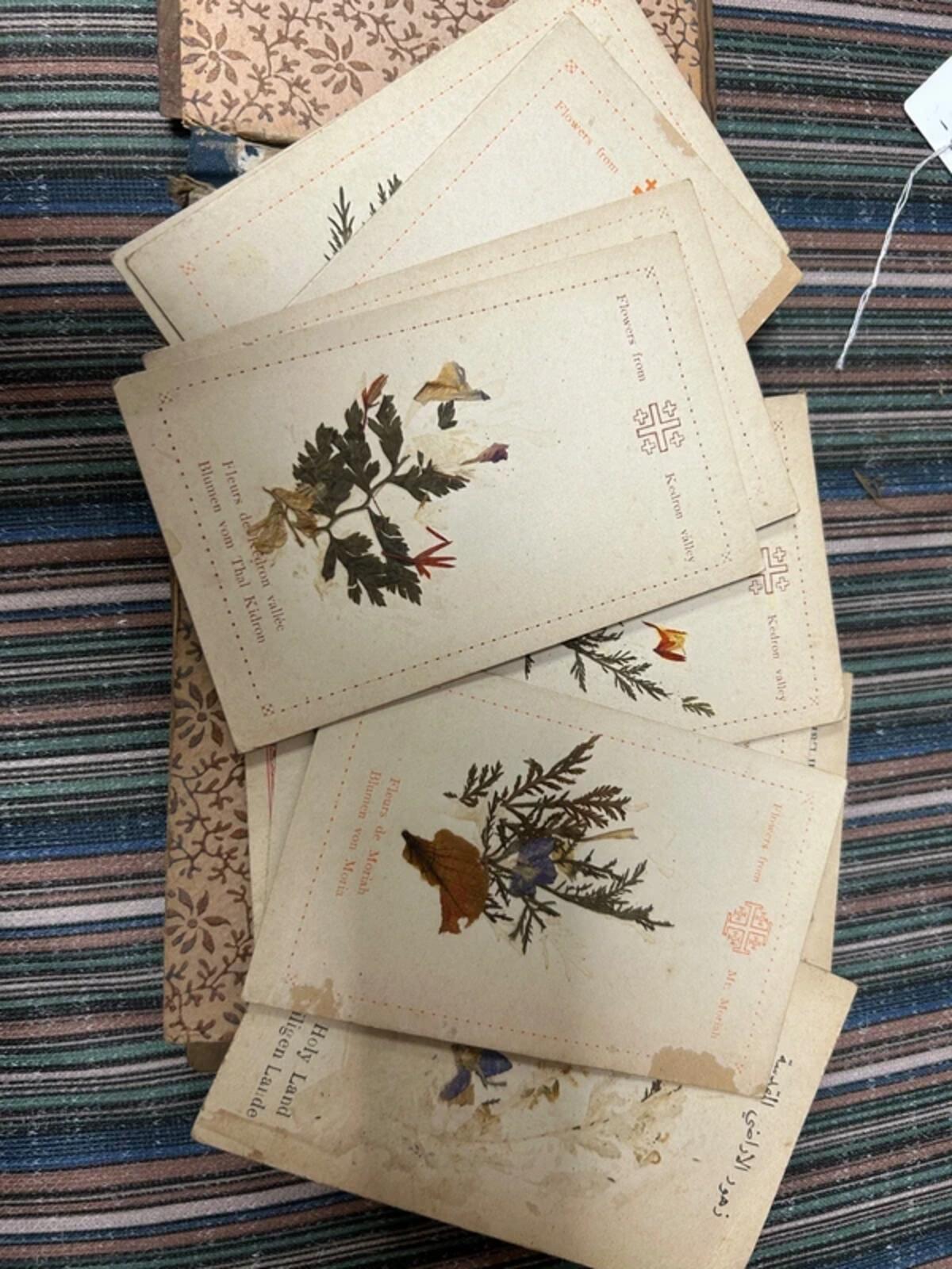 1917 Souvenir Album - Views and Flowers of Jerusalem
