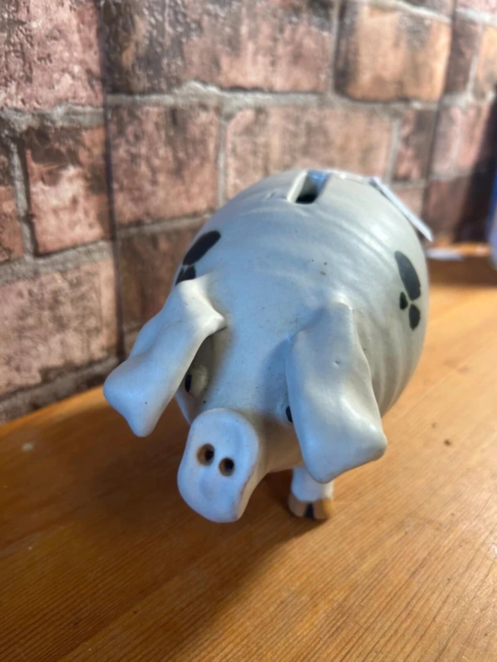 Vintage Pottery The Gloucestershire Old Spot Pit Money Box