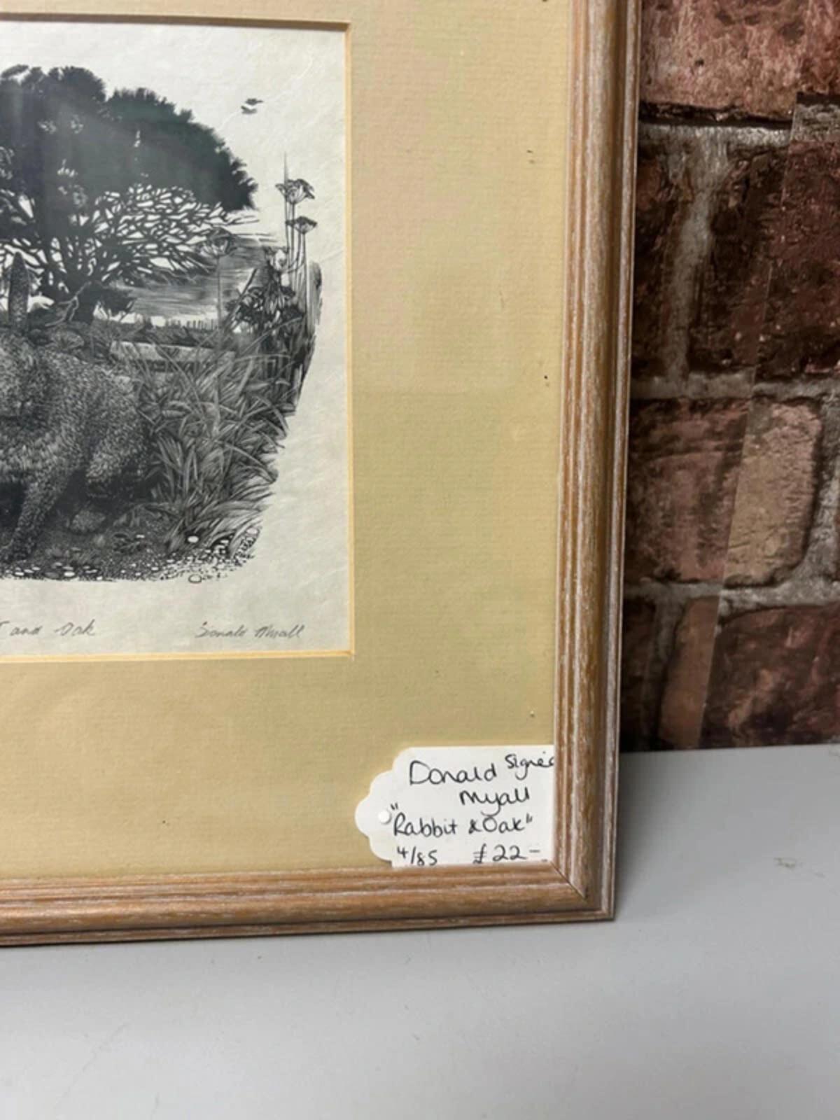 Donal Myall ' Rabbit and Oak' Signed and Framed Drawing