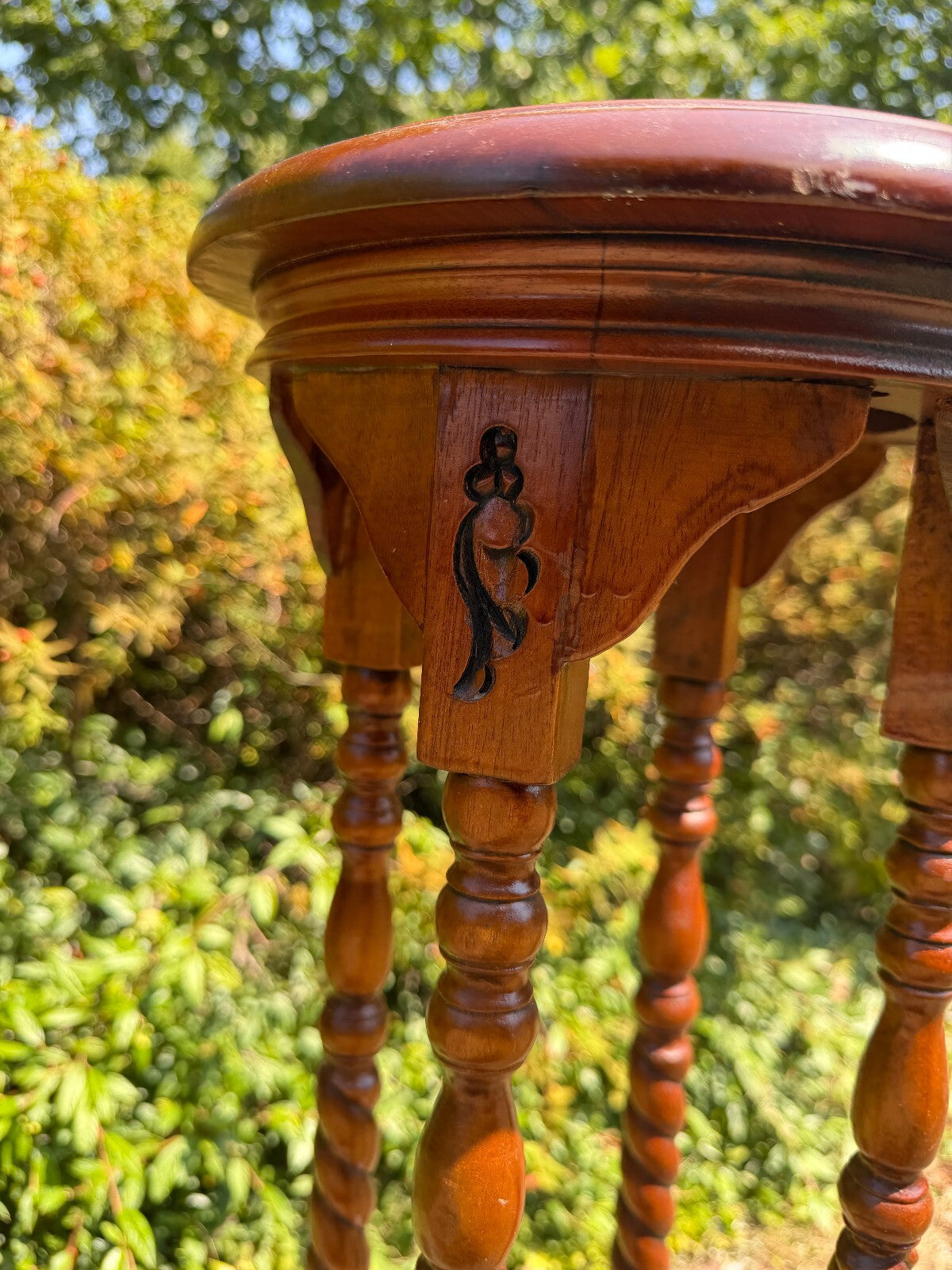 Antique Mahogany Barley Twist Plant Stand
