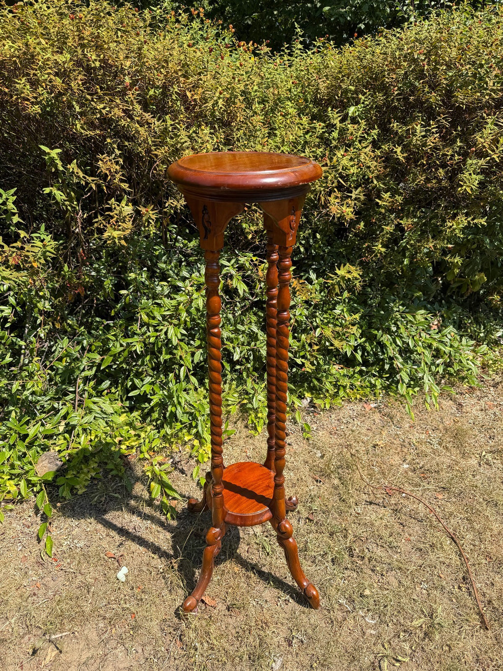 Antique Mahogany Barley Twist Plant Stand