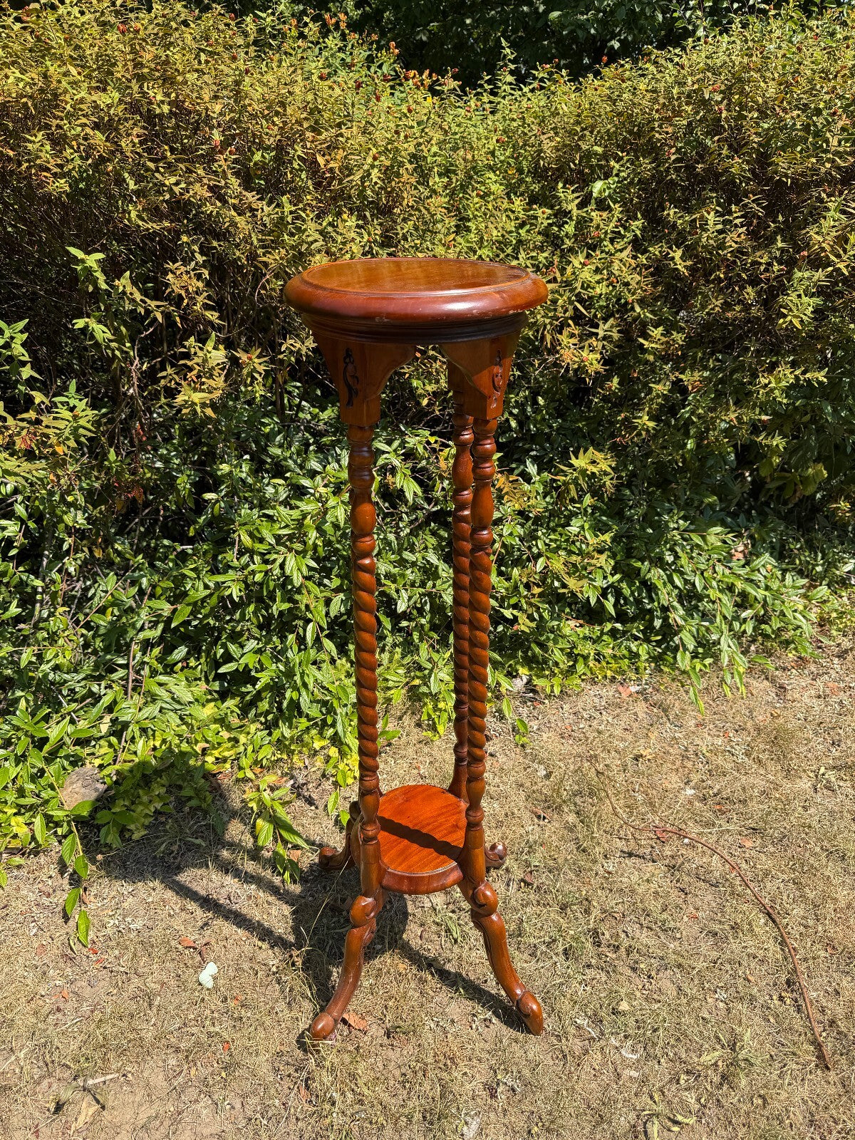 Antique Mahogany Barley Twist Plant Stand