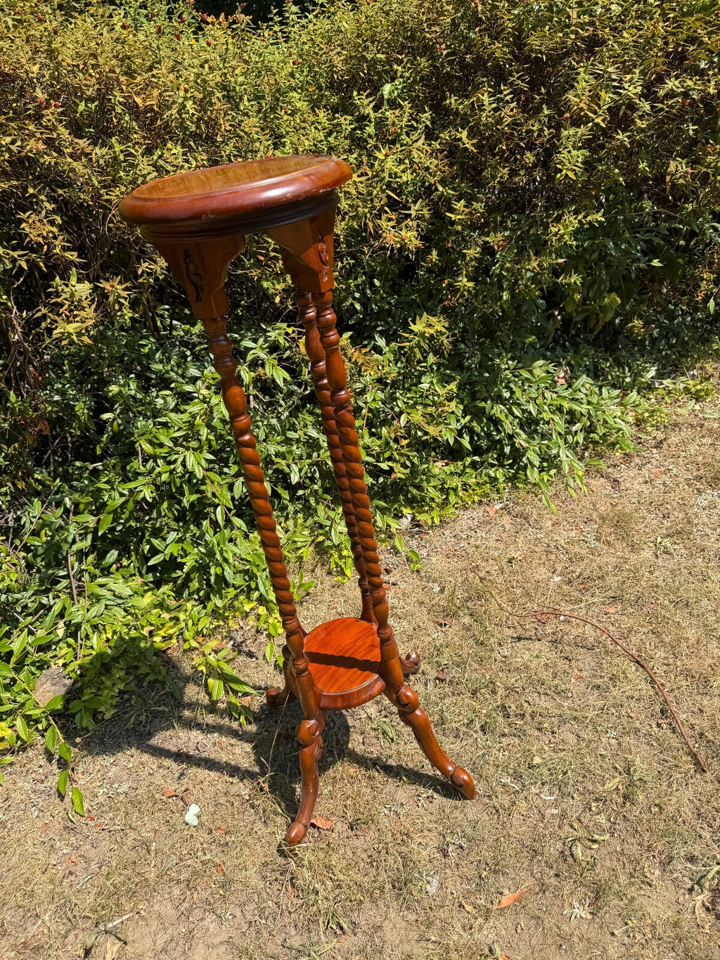Antique Mahogany Barley Twist Plant Stand