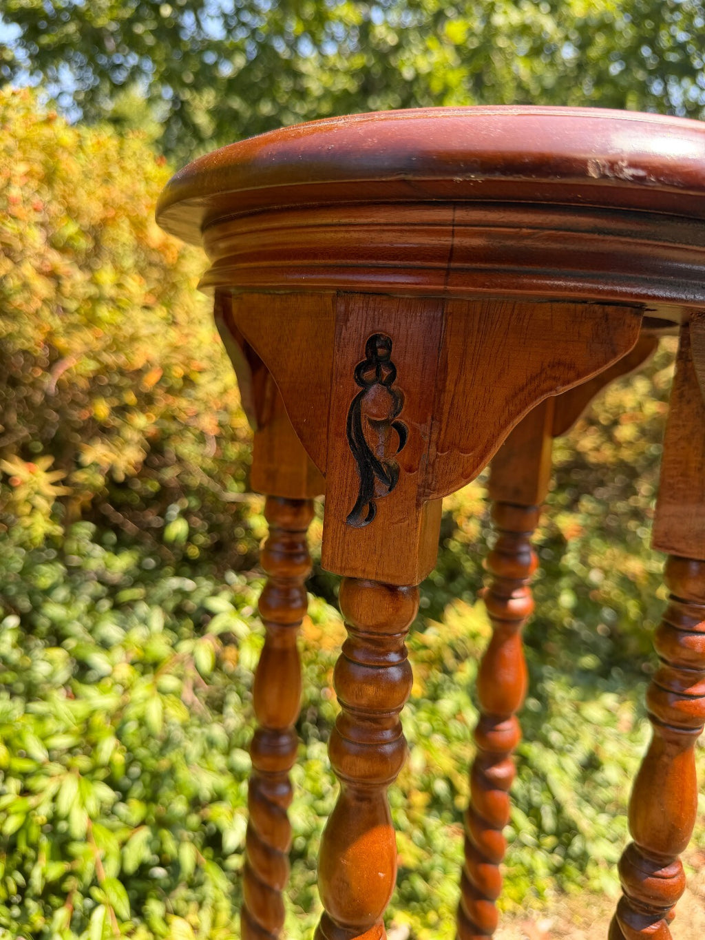 Antique Mahogany Barley Twist Plant Stand