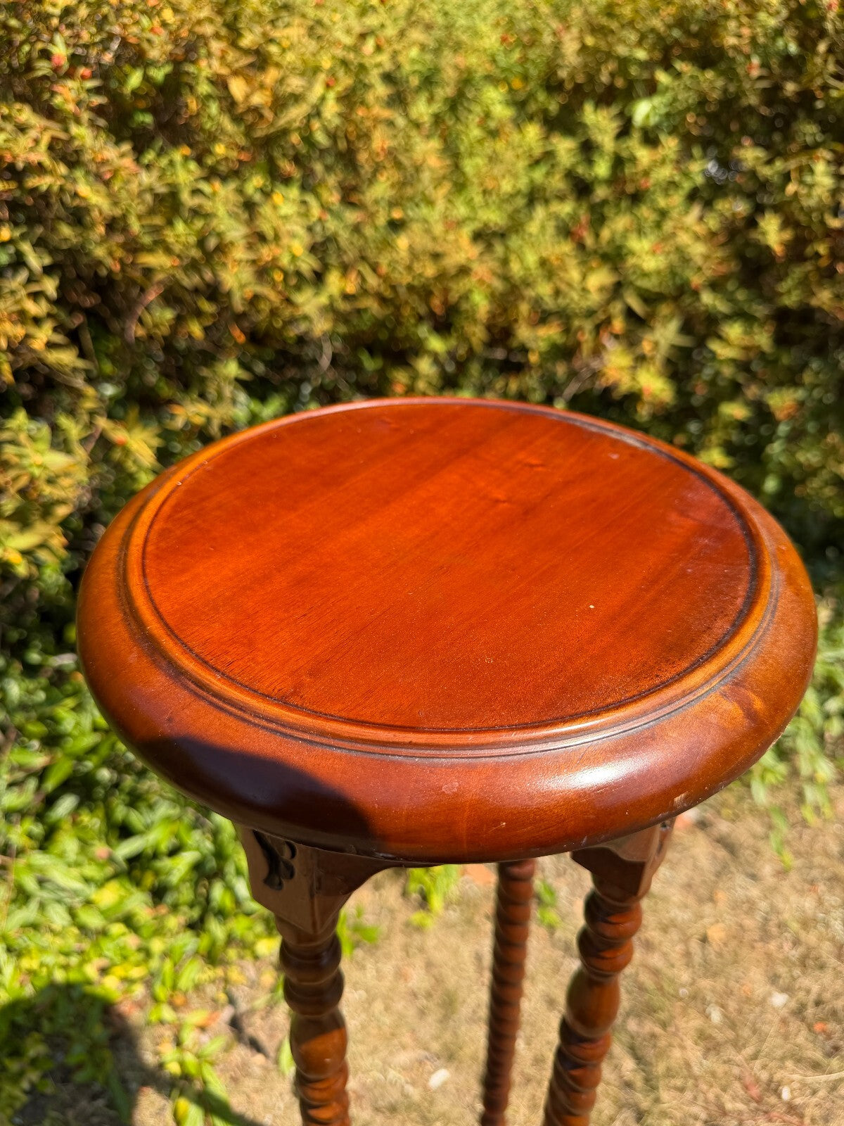 Antique Mahogany Barley Twist Plant Stand