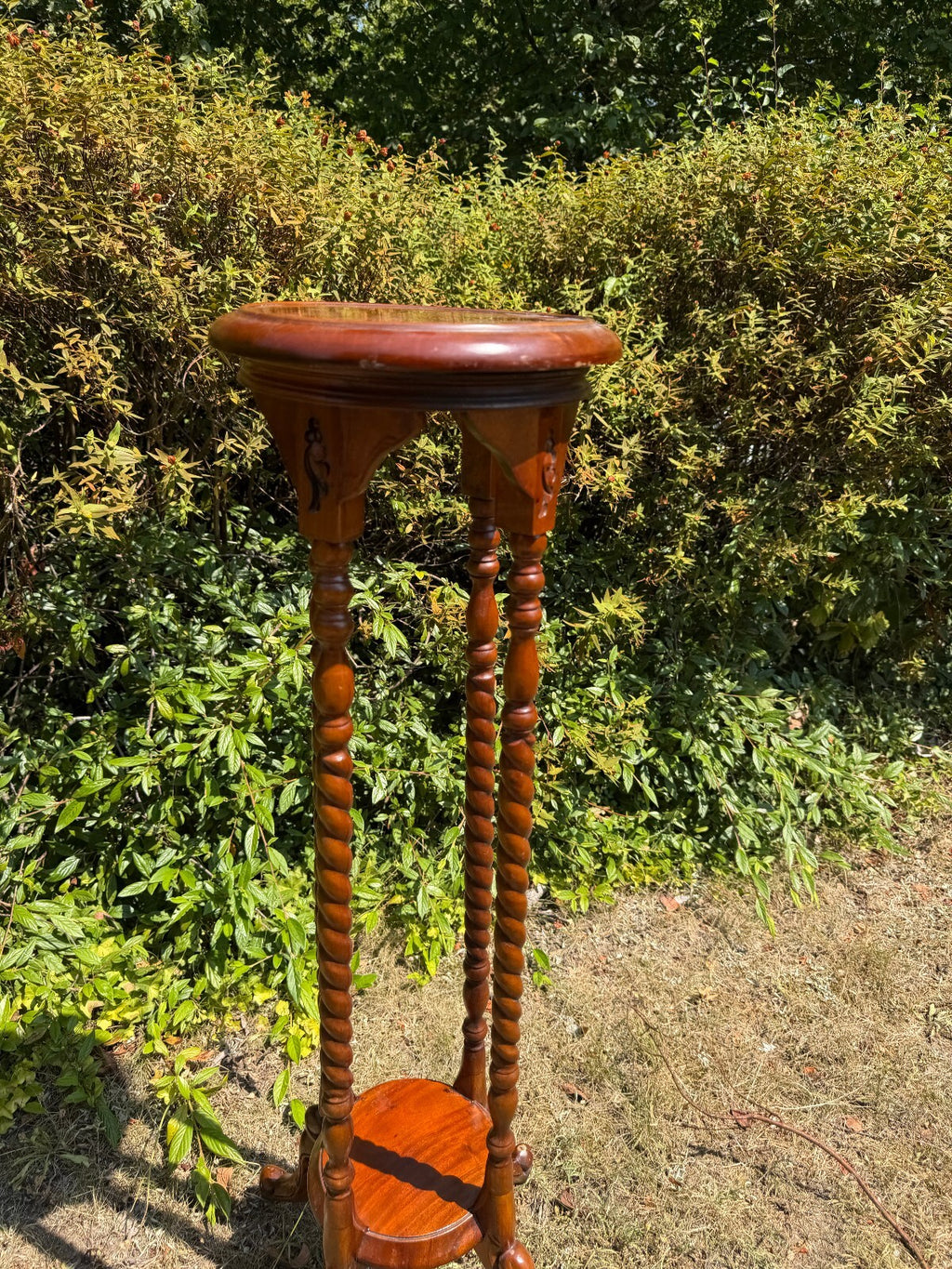 Antique Mahogany Barley Twist Plant Stand