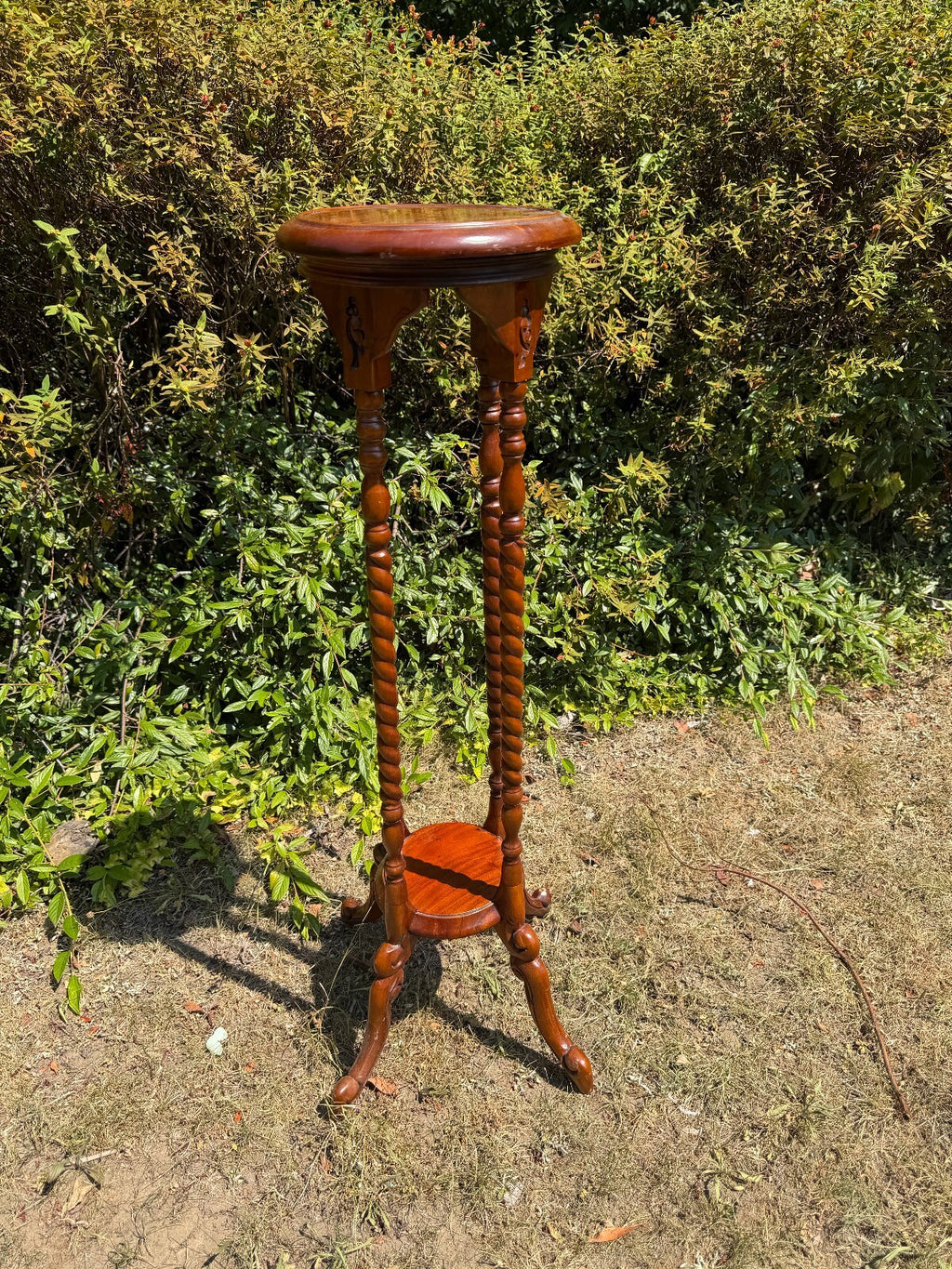 Antique Mahogany Barley Twist Plant Stand