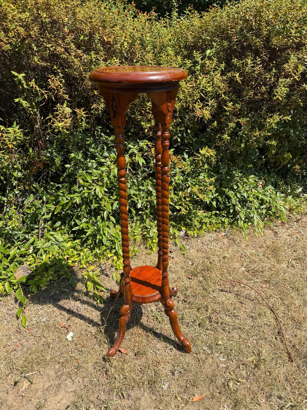 Antique Mahogany Barley Twist Plant Stand