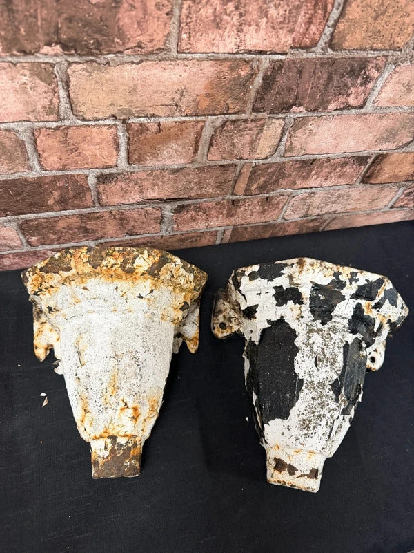 Cast Iron Hopperhead Planters