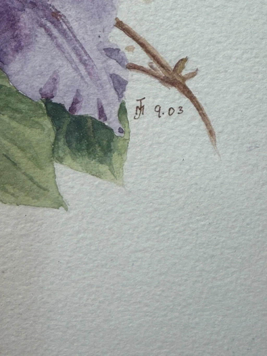 Vintage Clematis Painting