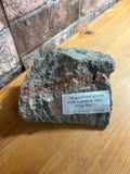 Migmatised Gneiss from Scotland