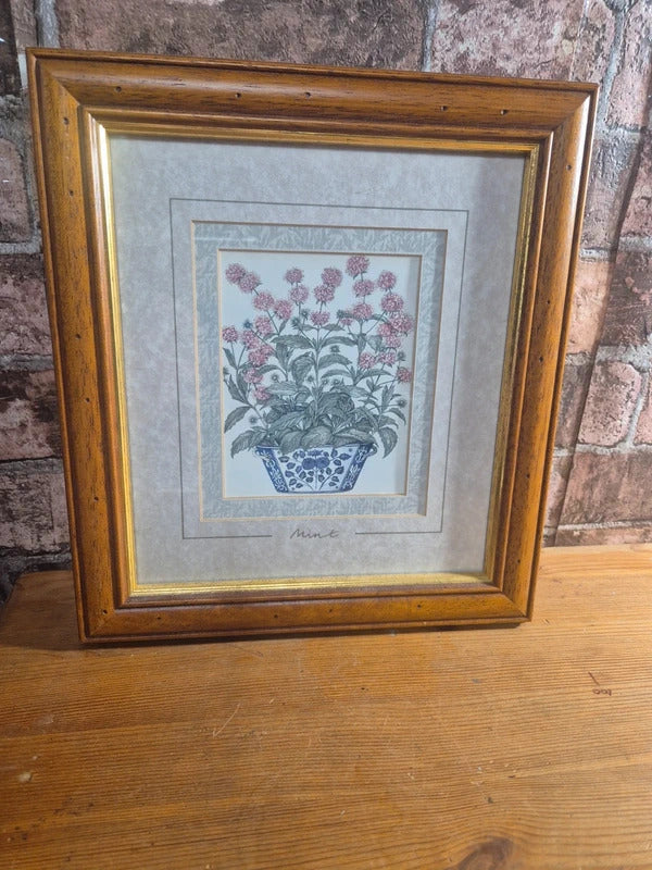 set of 4 vintage herb prints