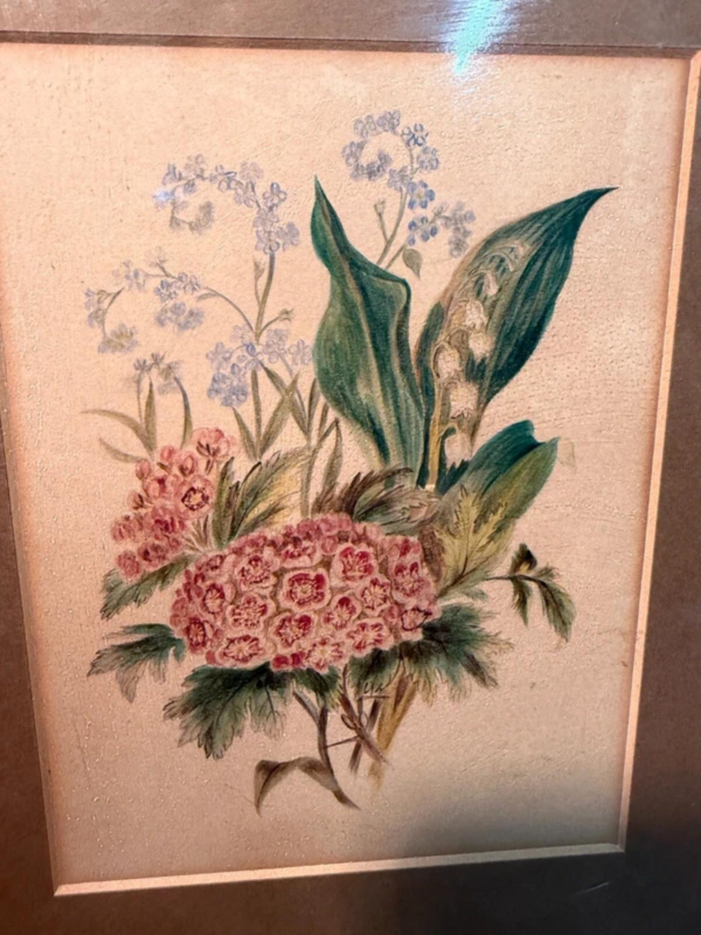 Vintage Framed Floral Drawing