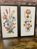 Vintage Pair of Floral Framed Prints