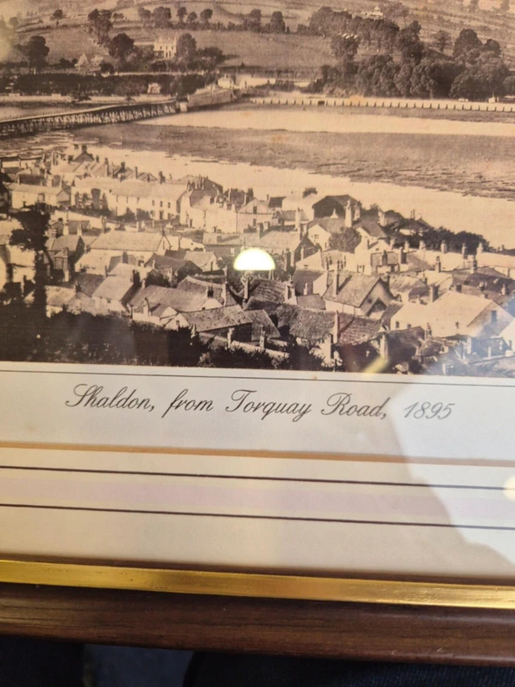 The Francis Frith Collection Shaldon from Torquay road Framed Print