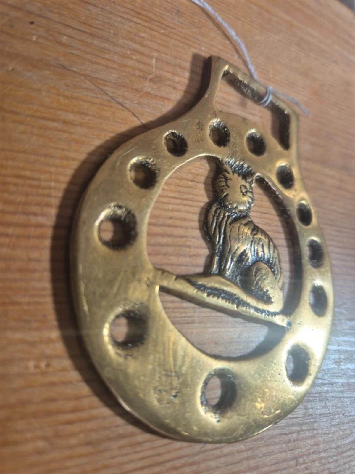 Cat horse brass (1)