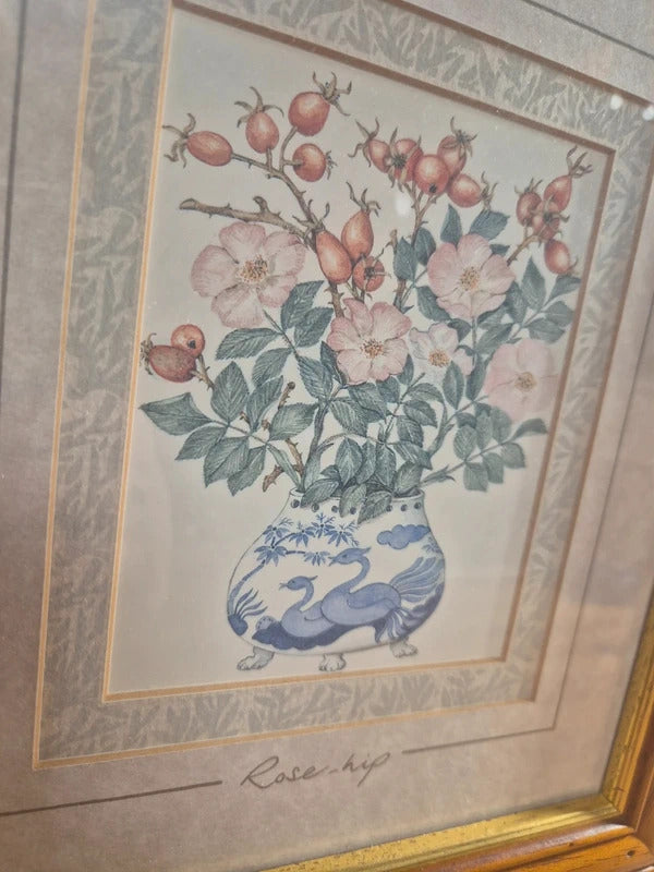 set of 4 vintage herb prints