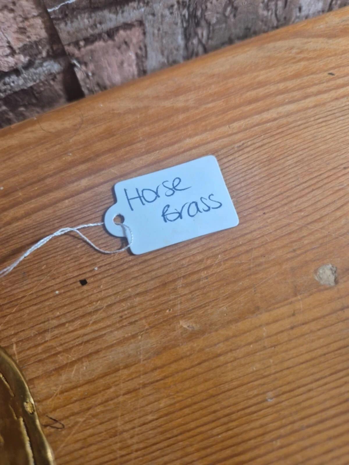 Horse Brass (5)