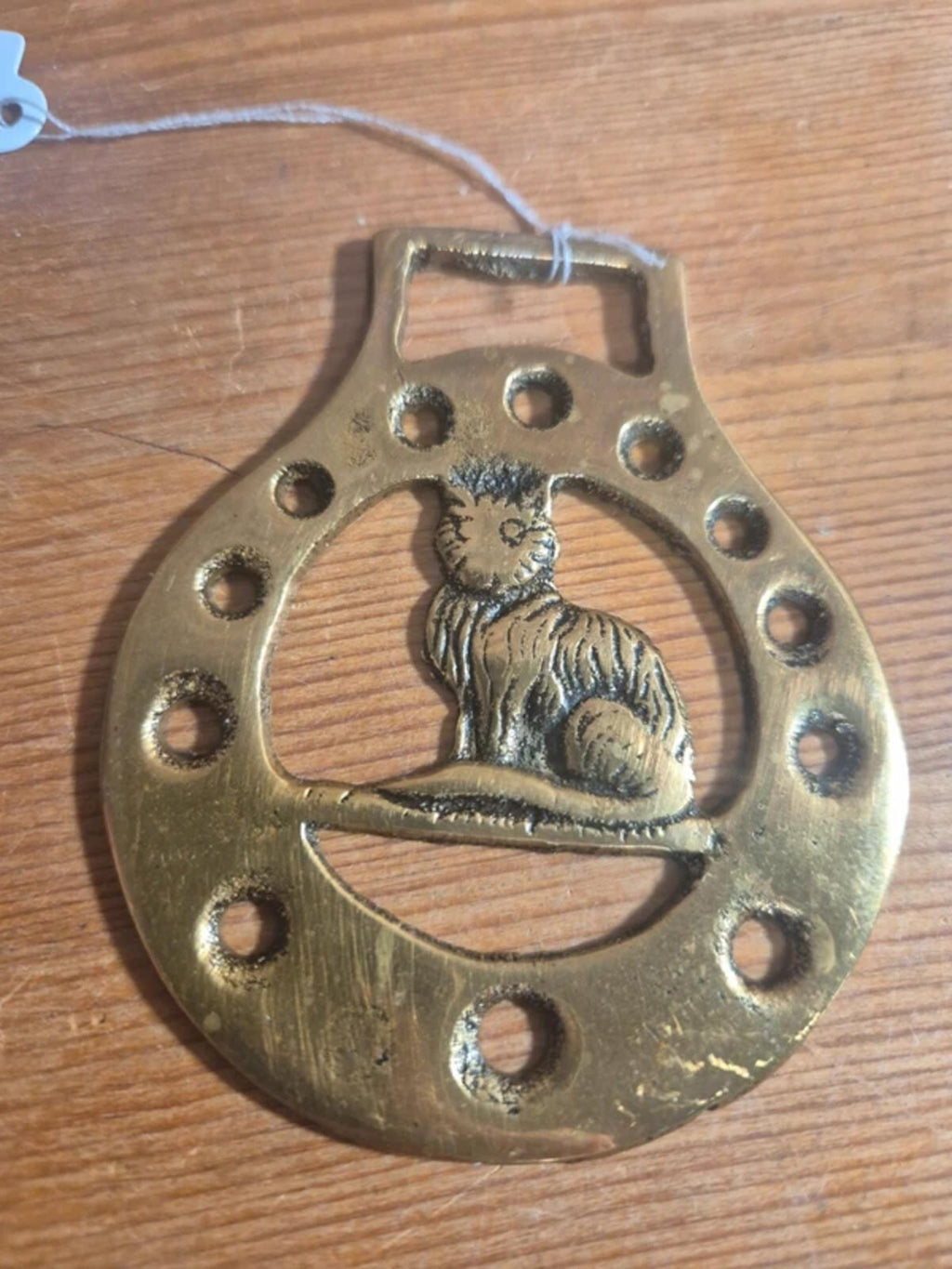 Cat horse brass (1)