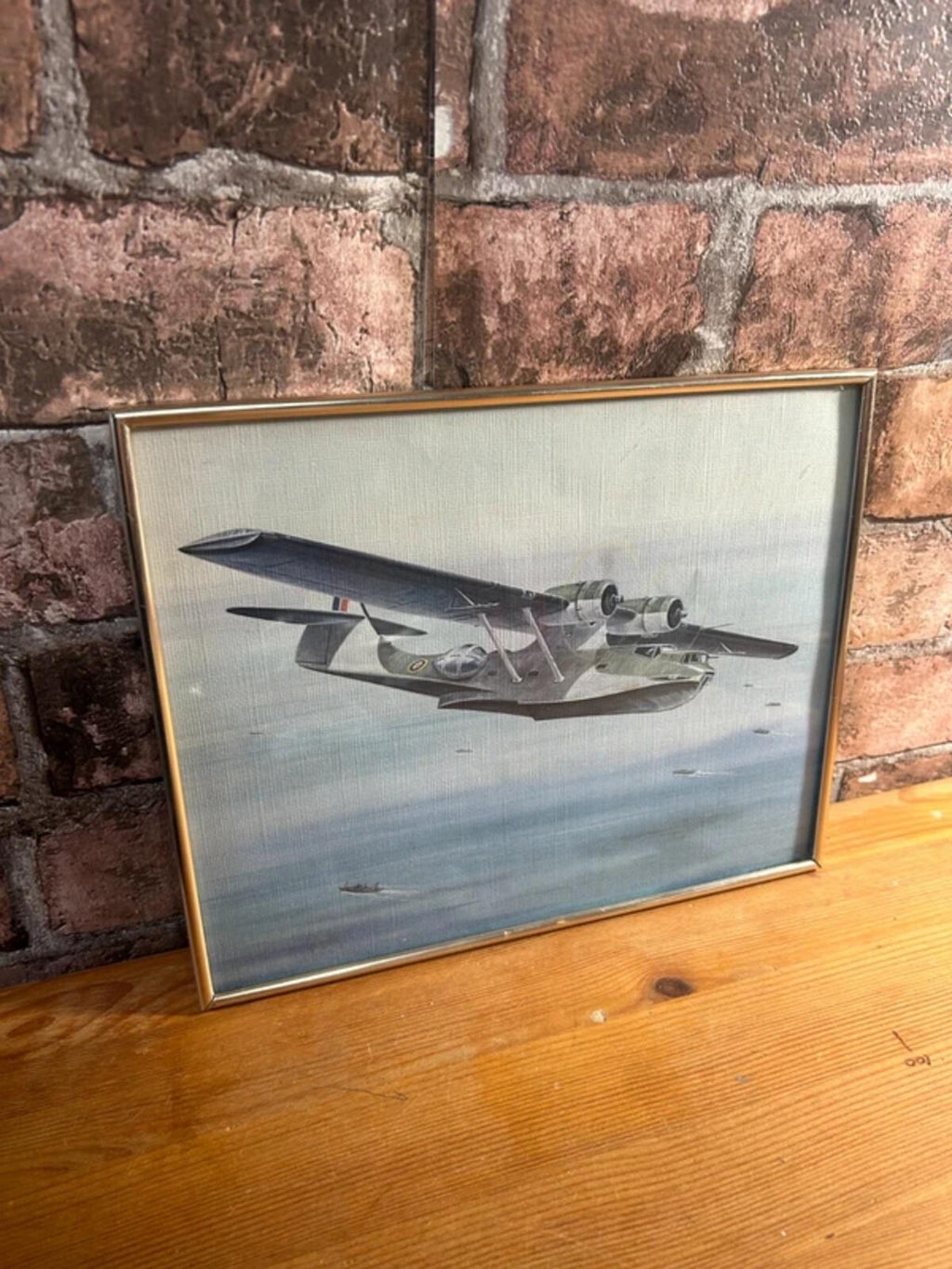 Catalina Plane Framed Print