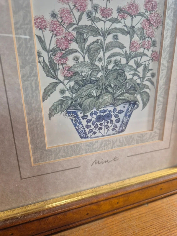 set of 4 vintage herb prints